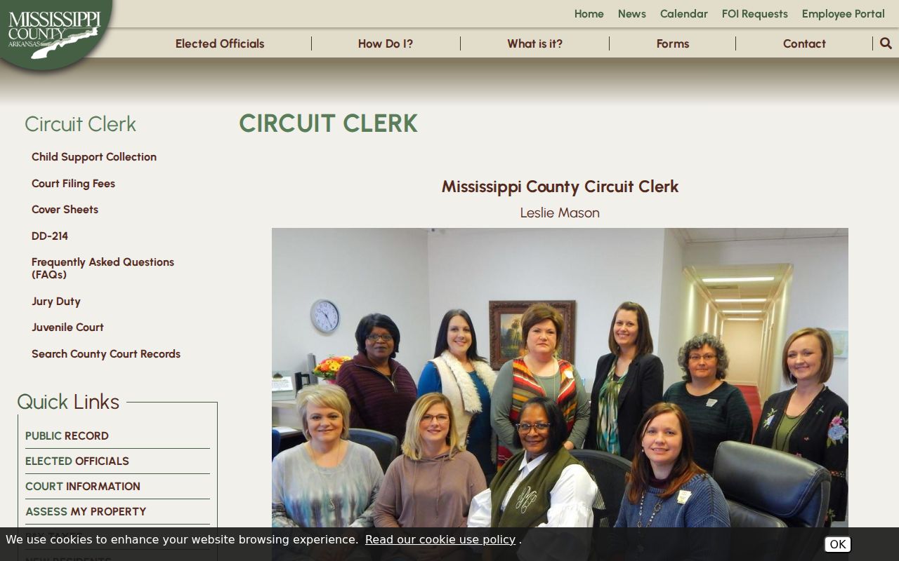 Mississippi County criminal court records Circuit Clerk page